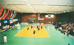 Volleyball